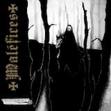 L'éternelle forêt de chênes