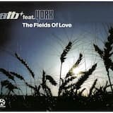 The Fields of Love (airplay mix)
