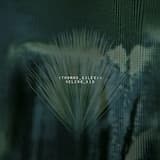 Strangers in a Paranoid Mind