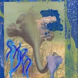 This One Or That One