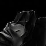 Chasing Shadows full mix