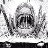 Awash in the Death Stench