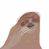 Sloth Dream
