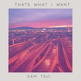 Thats What I Want - Piano Acoustic