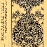 Music for the Head (Here)