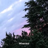 Wasted