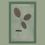 A Song for the Humble Bee