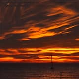 I Die in a Blossoming Park