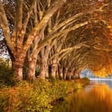 Atoms Acoustic Instrumental Mix