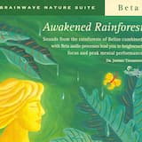 Awakened Rainforest