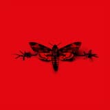 No Future? Yeah Right