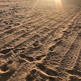 can’t depend on me.