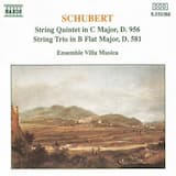 String Quintet in C major, D. 956, op. 163: I. Allegro ma non troppo