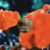 Planetarium (Gigi Masin alternate mix)