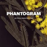 Running From the Cops