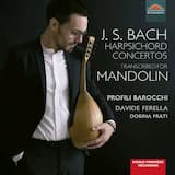 Keyboard Concerto in D minor, BWV 1052: II. Adagio