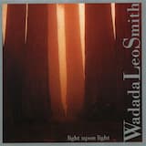 Moths, Flames And The Giant Sequoia Redwood Trees