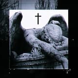 DON'† NΣΣD YO▼