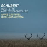 String Quintet in C Major, D. 956: I. Allegro ma non troppo