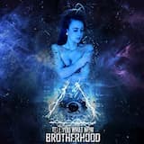 Enter The Brotherhood