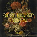 Vois sur ton chemin (techno mix)