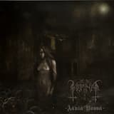 Raiskattu saastaisessa valossa