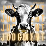 Judgment
