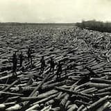 Boom Forest - Shadow of Doubt