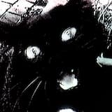 The Importance of Stealth