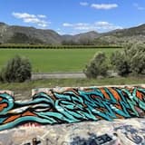 What the Hell Happened to the Lake Poway Bait Shop