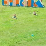 南極に咲く花へ