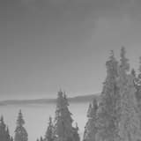 Spor Av Tålmodighet