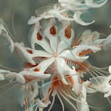 Dun Dun (extended mix)