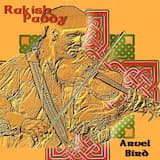 Rakish Paddy / Morrison’s Jig