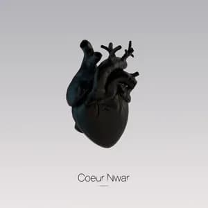 Coeur Nwar avatar