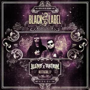 Kleavr x Tantrum avatar