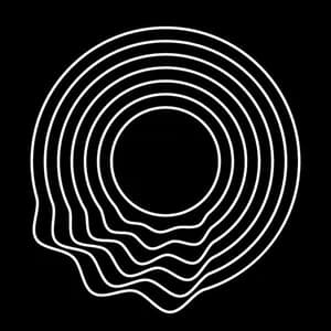 Latvijas Nacionālais simfoniskais orķestris avatar