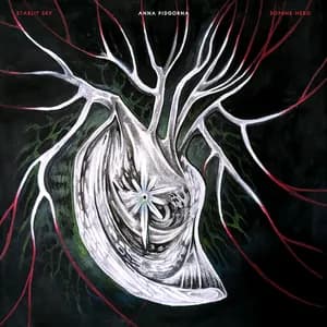 Anna Pidgorna avatar