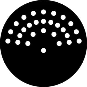 Budapest Festival Orchestra avatar