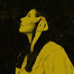 Nerina Pallot avatar