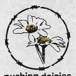 Pushing Daizies avatar