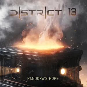 District 13 avatar
