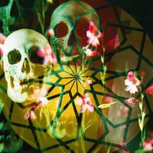 Bohren & der Club of Gore avatar