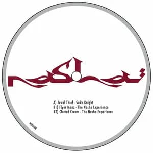 The Nasha Experience avatar