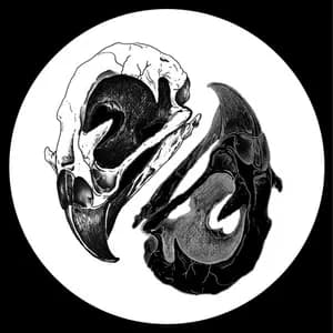 Bird & The War avatar