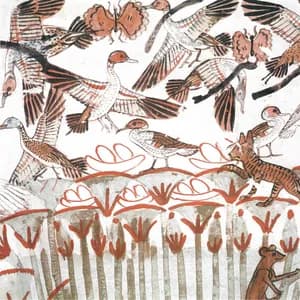 Steven R. Smith avatar