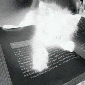 remembersellingdope avatar