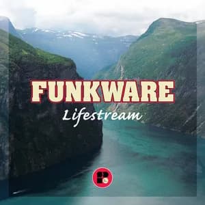 Funkware avatar