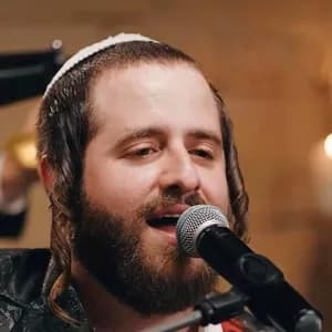 מנדי גולדברג avatar