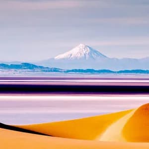 مجید خلج avatar